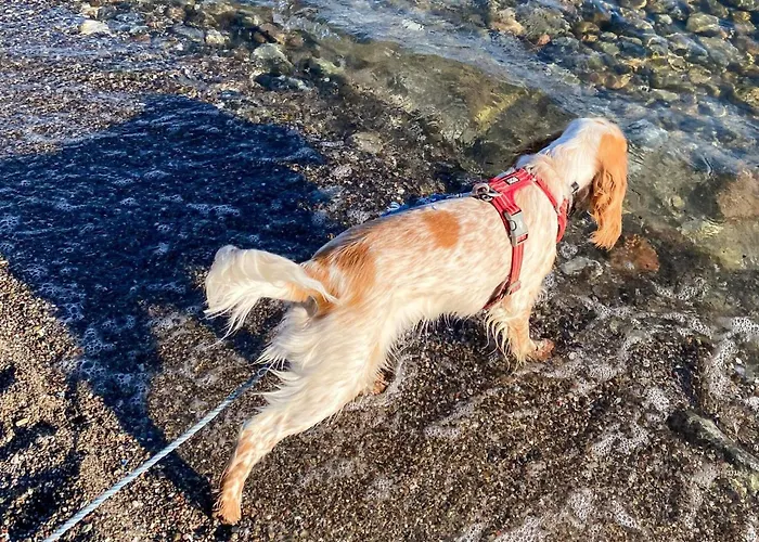 6 Person In Sydals-by Traum Sonderby (Sonderjylland)